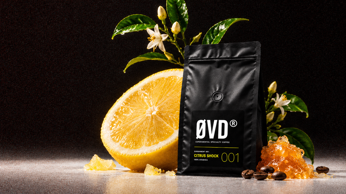CITRUS SHOCK DOESN’T WHISPER.